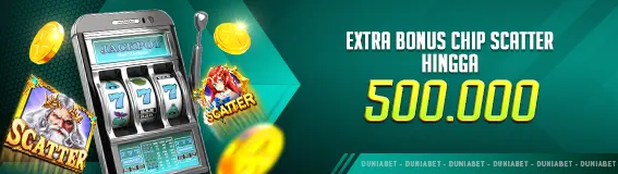 BONUS EXTRA CHIP SCATTER